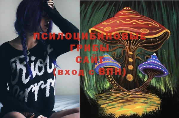 герыч Алексин