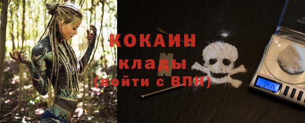 бошки Алзамай