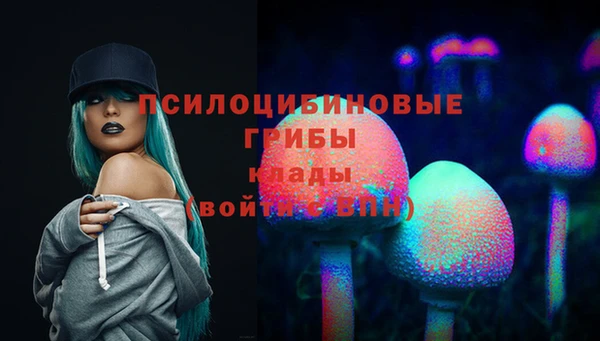 герыч Алексин