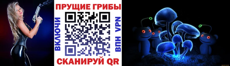Псилоцибиновые грибы Psilocybe  Каргат 